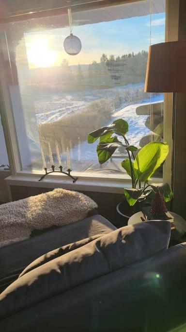 Skogro Ved Norefjell Noresund Esterno foto