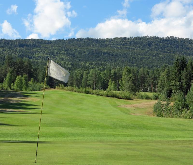Skogro Ved Norefjell Noresund Esterno foto